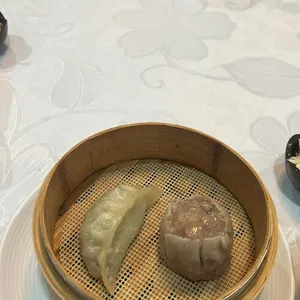 하이보 사진