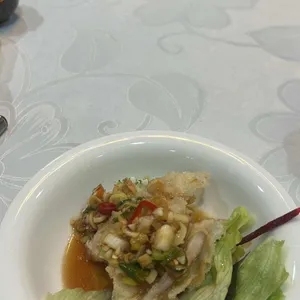하이보 사진