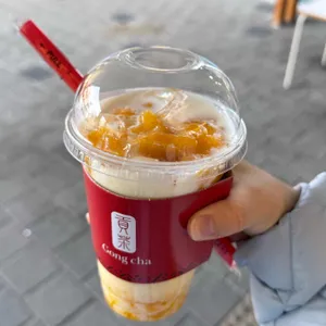 공차 사진