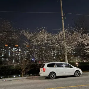 클레망 리뷰 사진