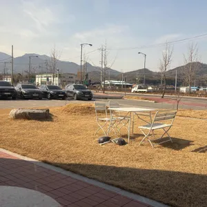 버트 리뷰 사진