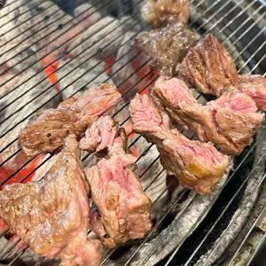 소야소 사진