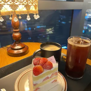 제주동백 사진