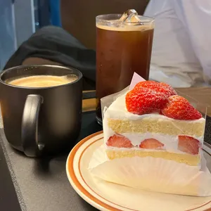 제주동백 사진