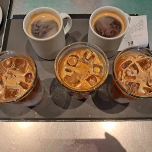 테라로사 사진