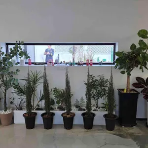 휘슬리 리뷰 사진