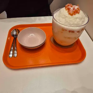 대설 사진