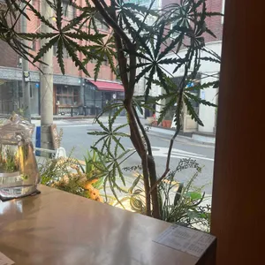 샤브로21 리뷰 사진