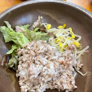 낙지한마리 수제비 사진