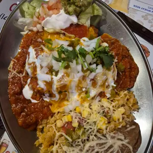로이스타코 사진