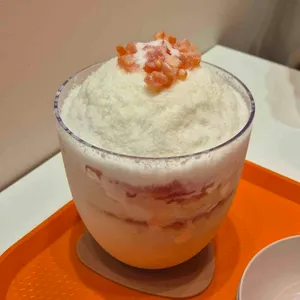 대설 사진