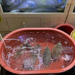 대영호포차 리뷰 사진