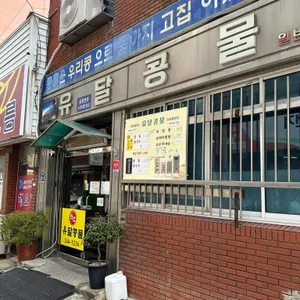 유달콩물 리뷰 사진