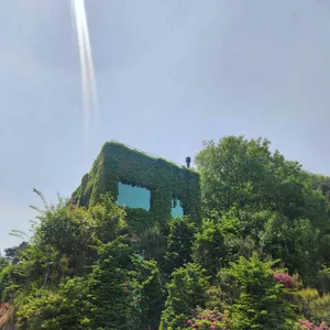 파스토랄 리뷰 사진