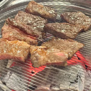 우레 사진