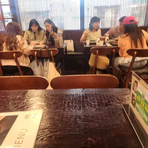 솔솥 리뷰 사진