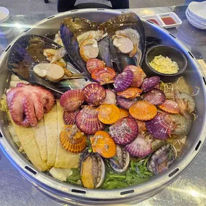 갯벌의조개 사진