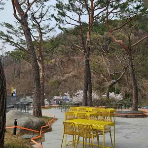 듀레베이커리 리뷰 사진