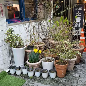 원조제일돌곱창 리뷰 사진