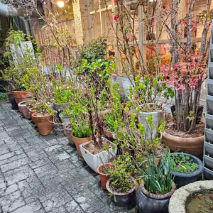 원조제일돌곱창 리뷰 사진