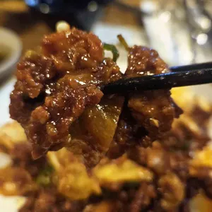 고꼬 사진