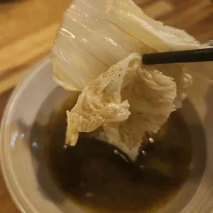 고꼬 사진