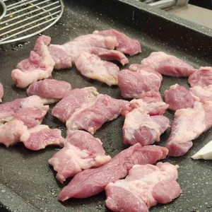 빗살 사진