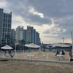 타타스베이글 리뷰 사진