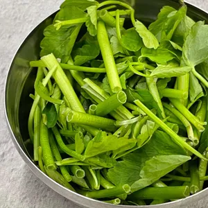 삼죽돈 사진