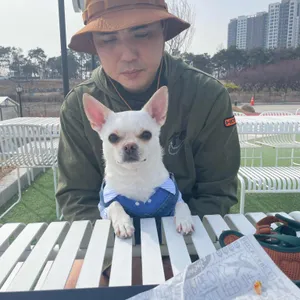 런던그라운드 리뷰 사진