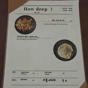 하우딥 리뷰 사진