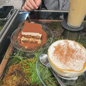 이끼 사진