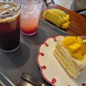터틀힙 사진