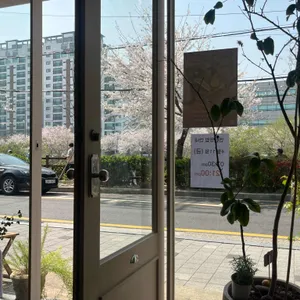 디어라이언 리뷰 사진