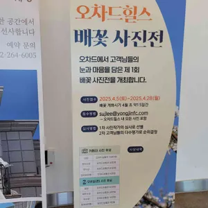 오차드힐 베이커리 카페 리뷰 사진