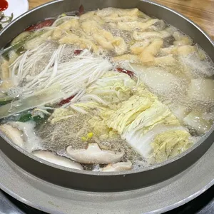 조개꽃천지 사진