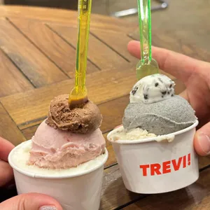 트레비 사진