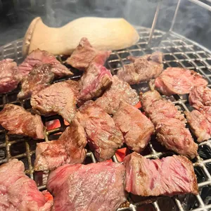 흑우정 사진