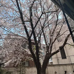 그레이랩 리뷰 사진