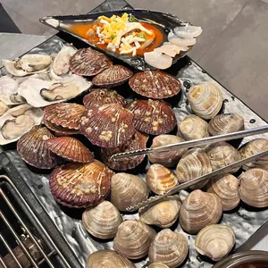 하와이조개 사진