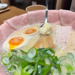 멘지 사진