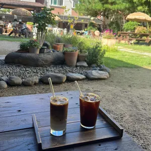 알로하녹 사진