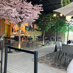 노부스테라 리뷰 사진