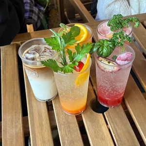제주당 사진