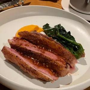 바운드리스 사진