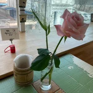 커피첼리비파파 리뷰 사진