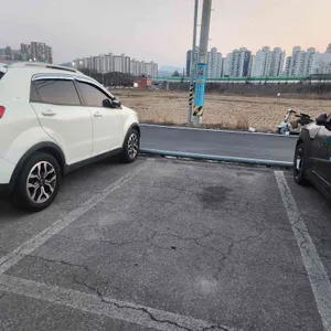 광사돈229 리뷰 사진