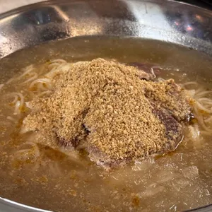 백송 사진