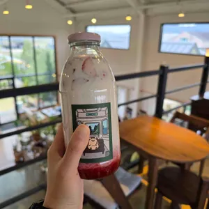데이어스포레스트 사진