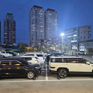 샤브자작나무 리뷰 사진